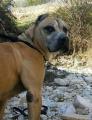 Turko