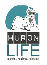 Huronlife Huronlife