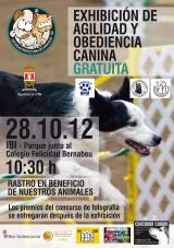 Exhibición agilidad y obediencia en Ibi Exhibición agilidad y obediencia en Ibi