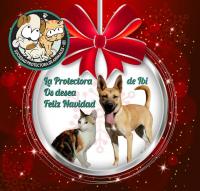 Feliz Navidad y Prospero Año Nuevo 2015 Feliz Navidad y Prospero Año Nuevo 2015