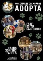No compres mascotas ... ADOPTA!!! No compres mascotas ... ADOPTA!!!